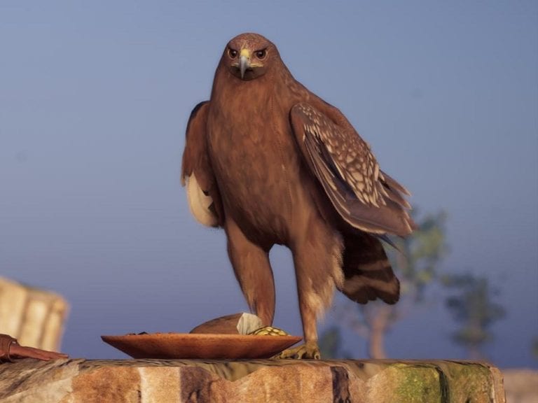 Assassin’s Creed Odyssey Ikaros