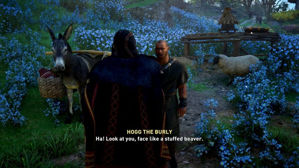 Assassin’s Creed Valhalla Hogg The Burly Flyting Choices