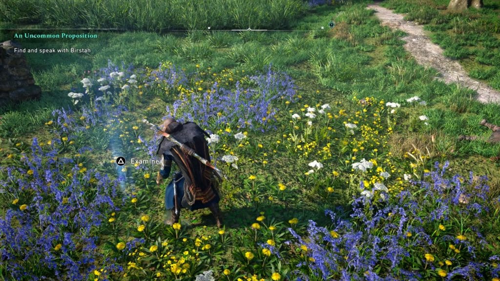 Assassin’s Creed Valhalla Lady Trotters Treasures Location