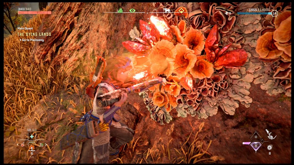 HZFW Crystal Anomalous Growth Igniter Location