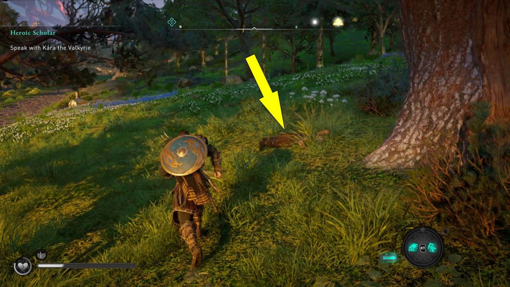 Assassins Creed Valhalla Liv's Beloved Bo Mystery Location