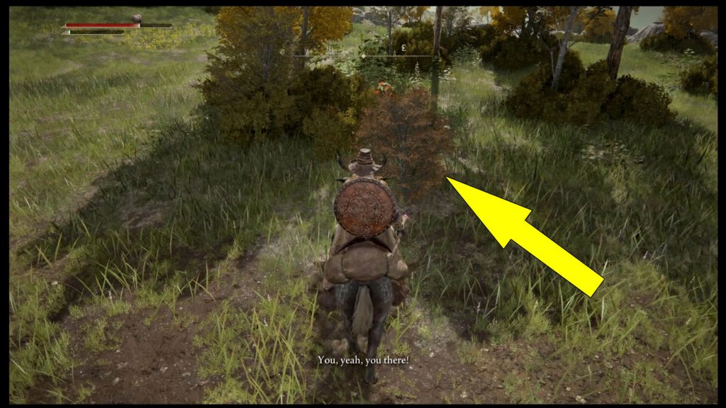 Elden Ring Boc Quest Location Guide