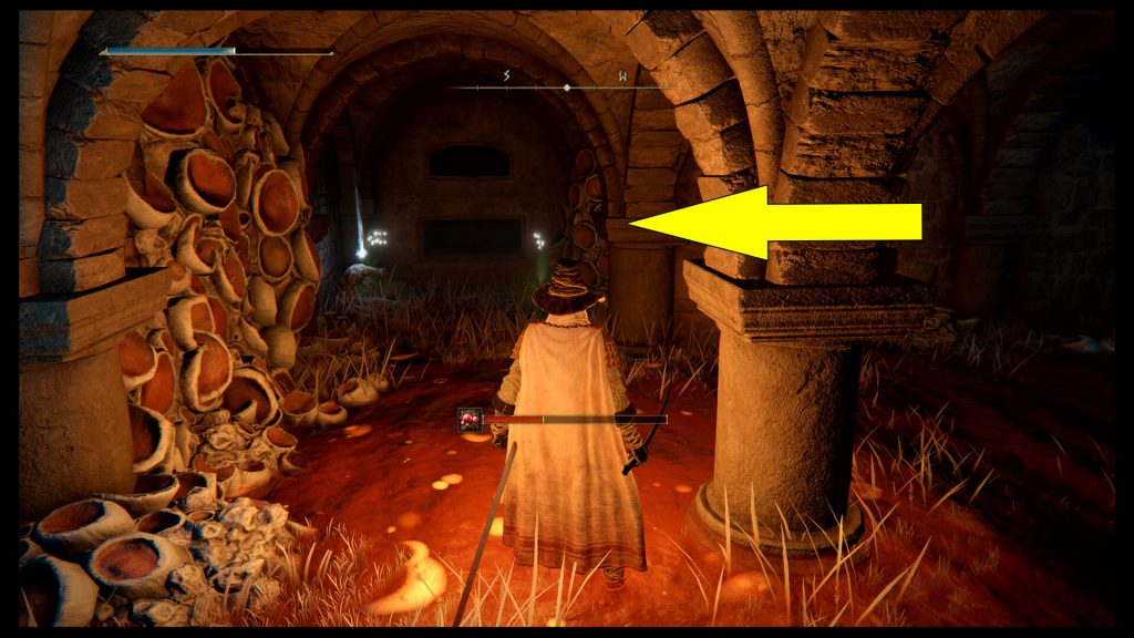 Elden Ring Caelid Catacombs Dungeon Guide