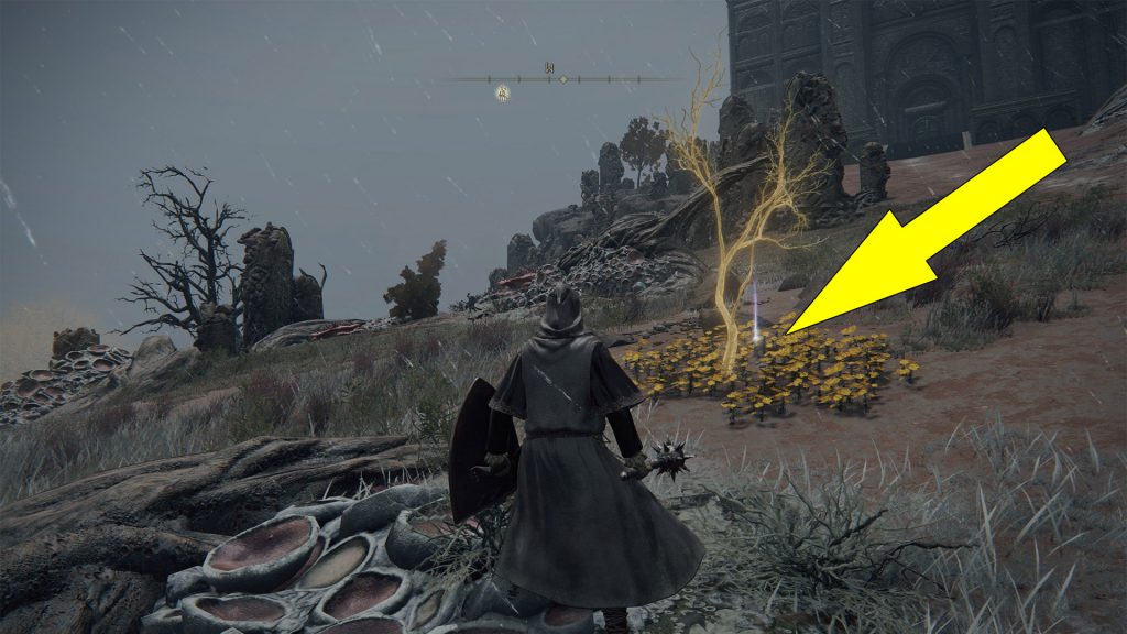 Elden Ring Caelid Golden Seeds Locations Where To Find Bestial Sanctum