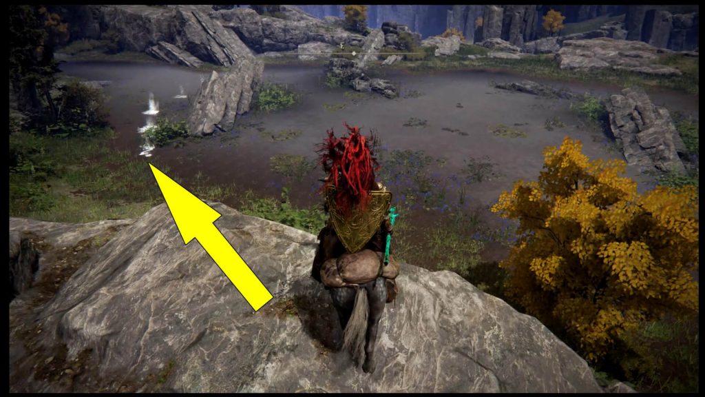 Elden Ring Caria Manor Lake White Ghost Footprints