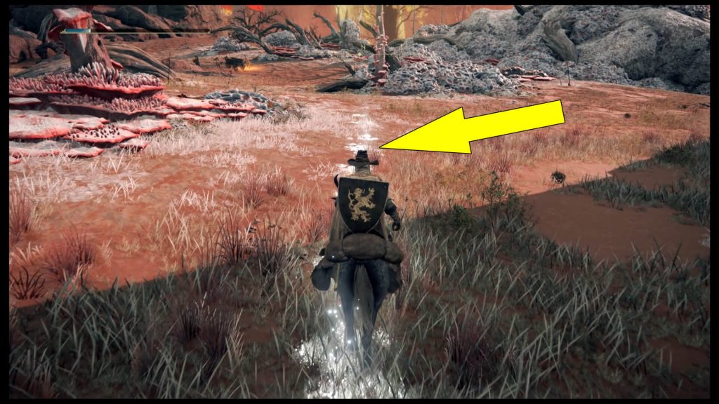 Elden Ring Fort Gael North White Ghost Footprints