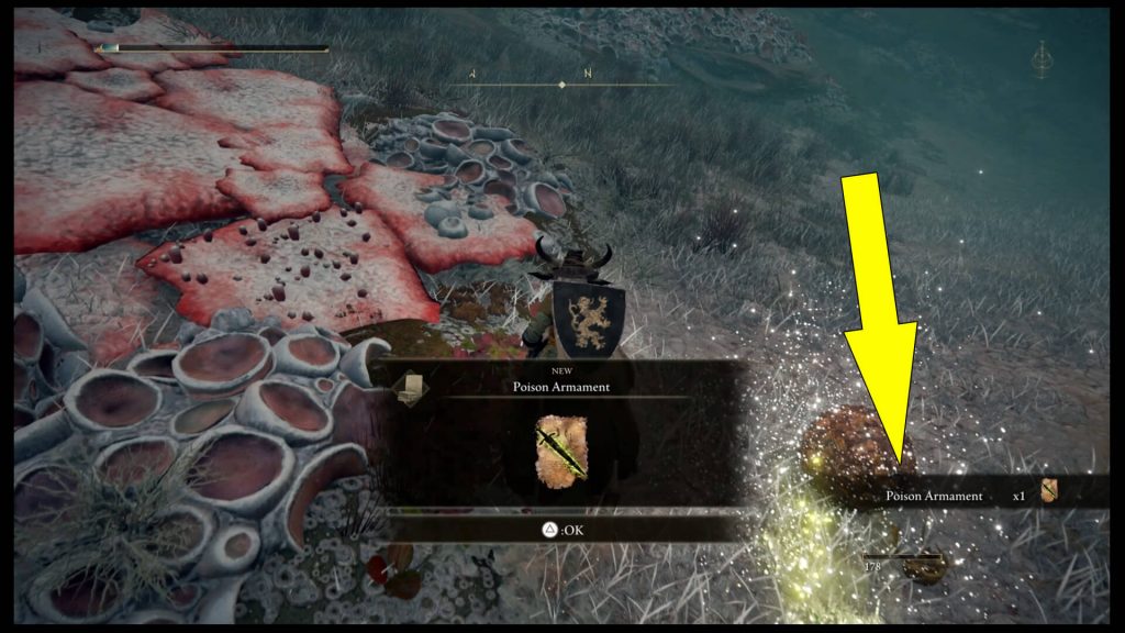 Elden Ring Poison Armament Location