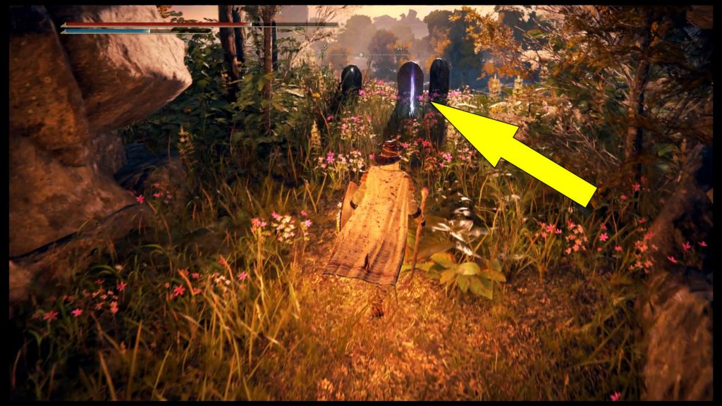 Elden Ring Regalia of Eochaid Location