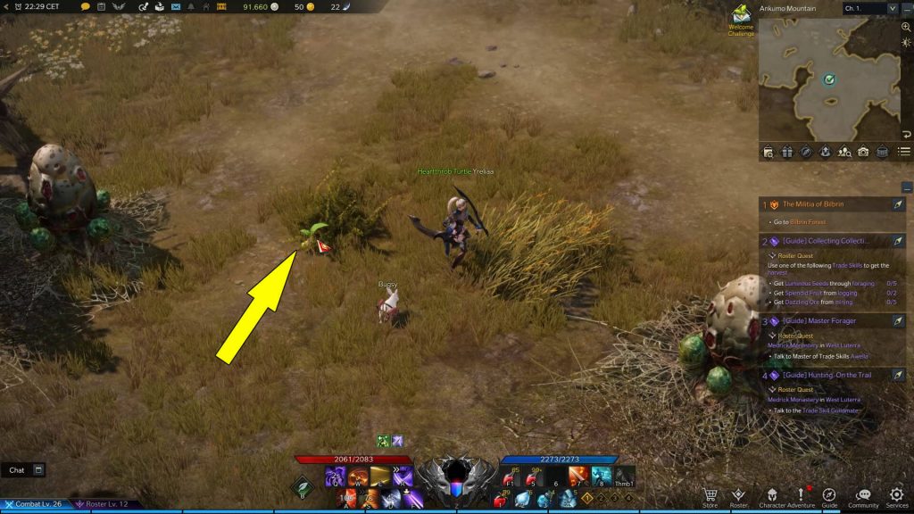 Lost Ark Ankumo Mountain Mokoko Seeds Collectibles Locations