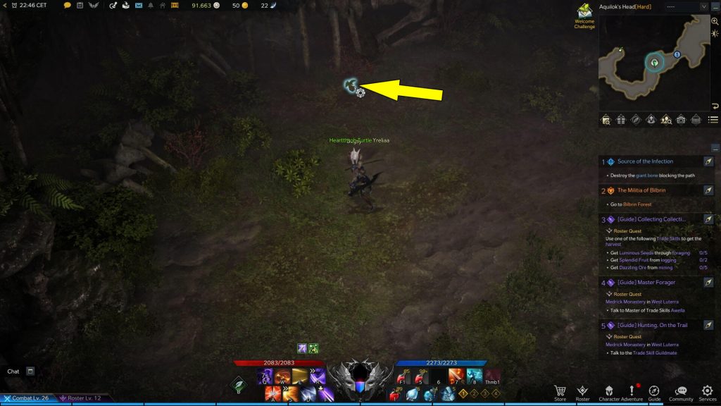Lost Ark Aquilok's Head Mokoko Seeds