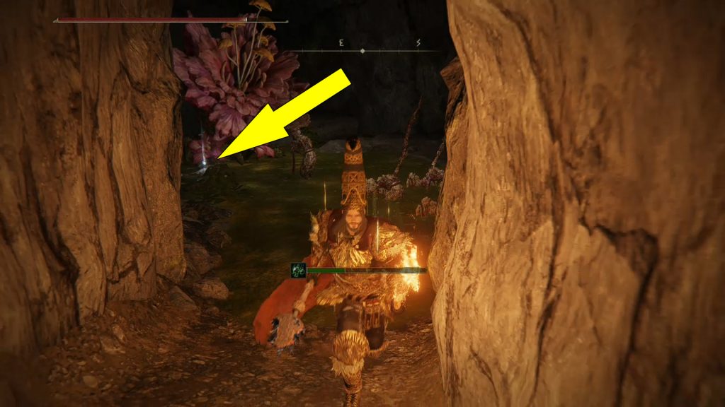 Elden Ring Seethewater Cave Location Mushroom Set