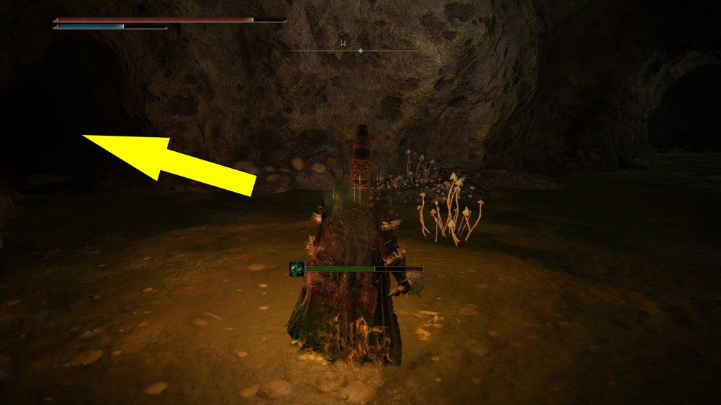 Elden Ring Seethewater Cave Location Tunnel Southwest