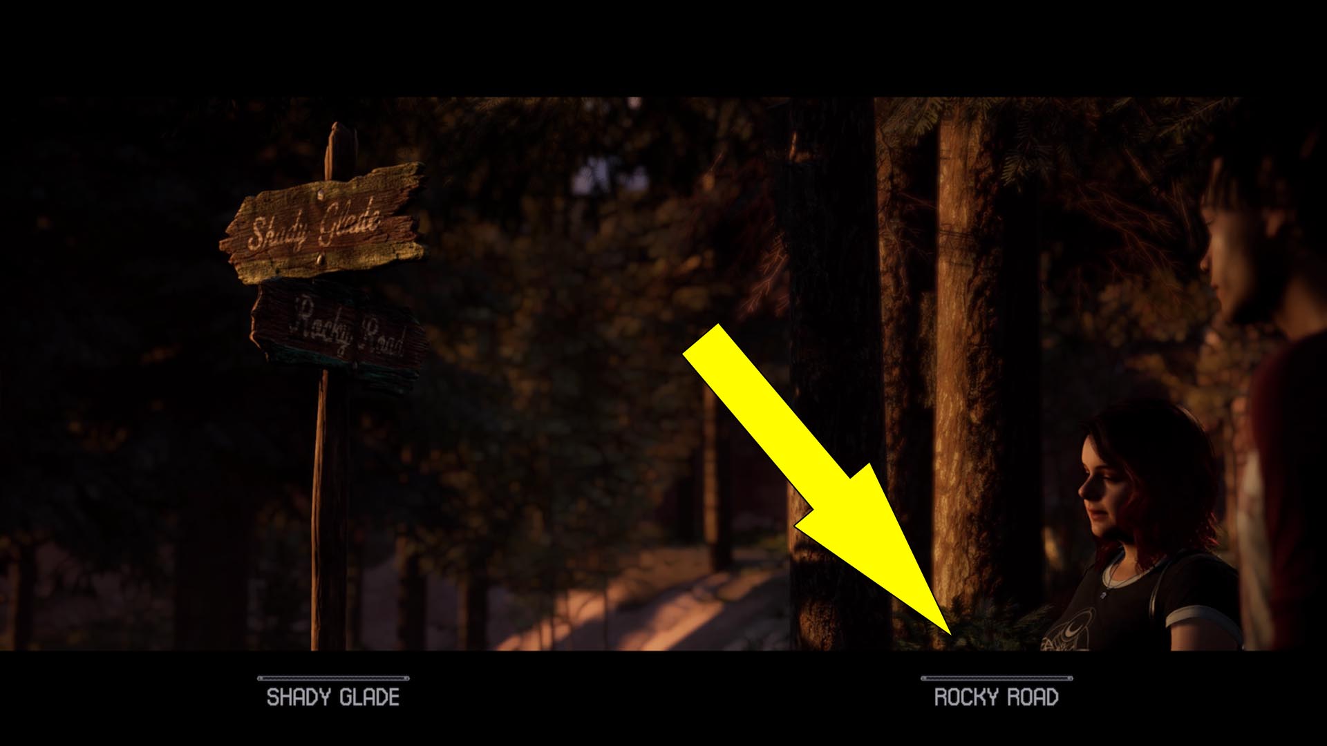 Shady Glade Or Rocky Road The Quarry Quarry Chapter 2 Walkthrough: How To Make The Best Choices