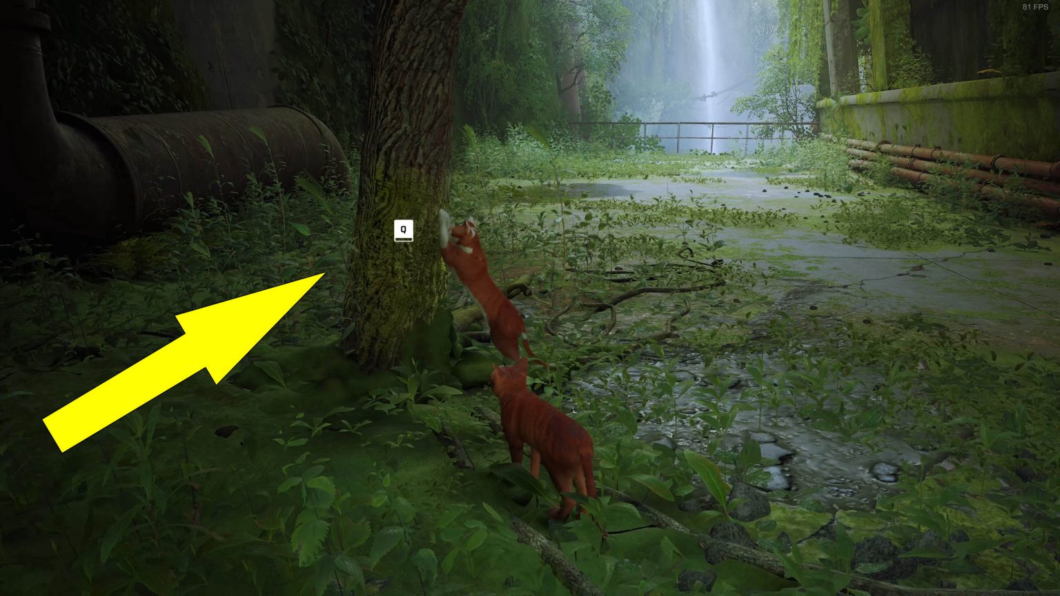 Scratch Locations Guide - Stray