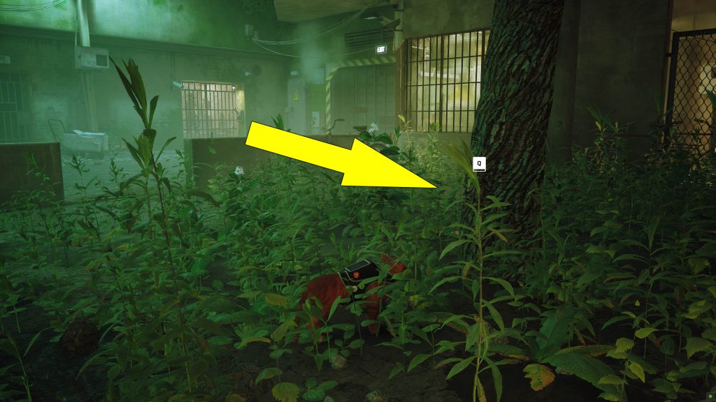 stray scratching locations collectibles guide chapter 11 jail - GameClubz
