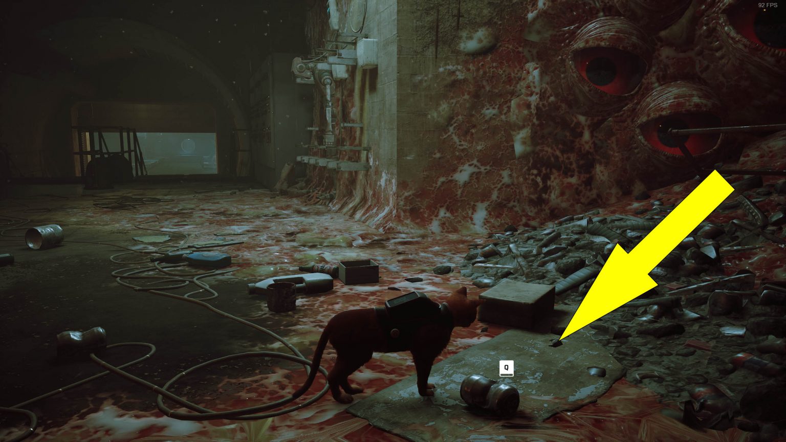 Scratch Locations Guide - Stray