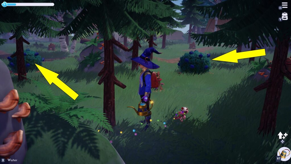 Disney Dreamlight Valley The Remembering Fruits Locations