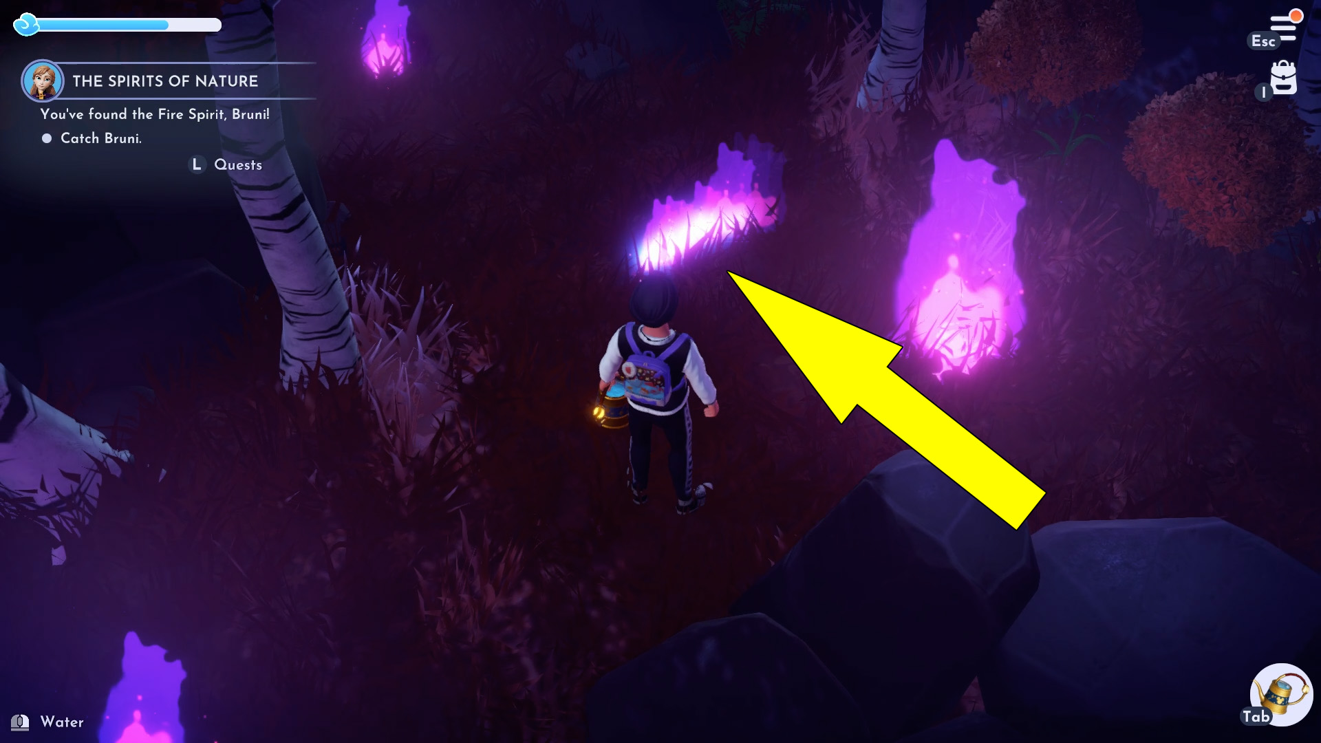 Spirits Of Nature Find Elsa & Bruni Disney Dreamlight Valley