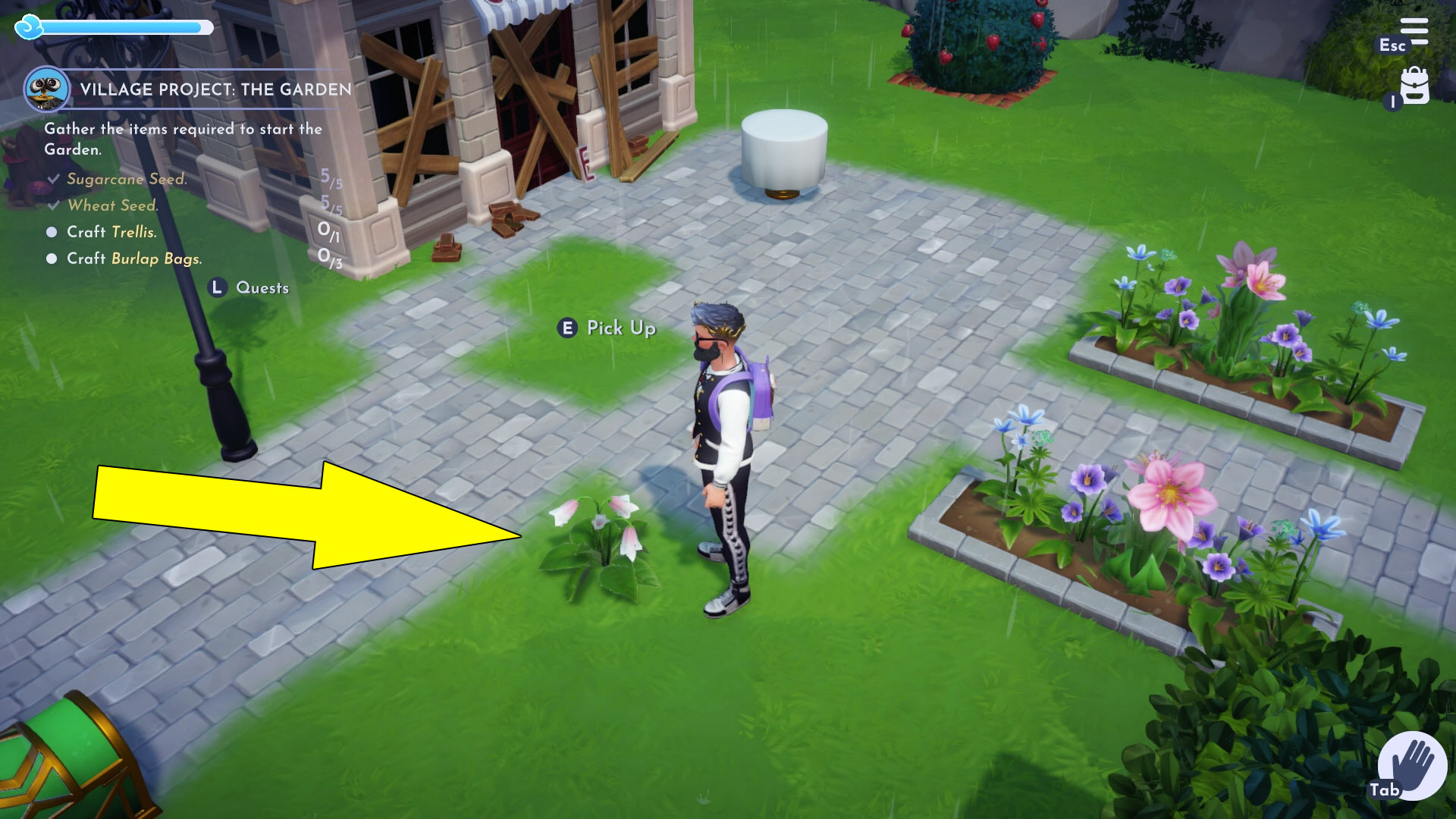 Village Project Garden Items Crafting Disney Dreamlight Valley