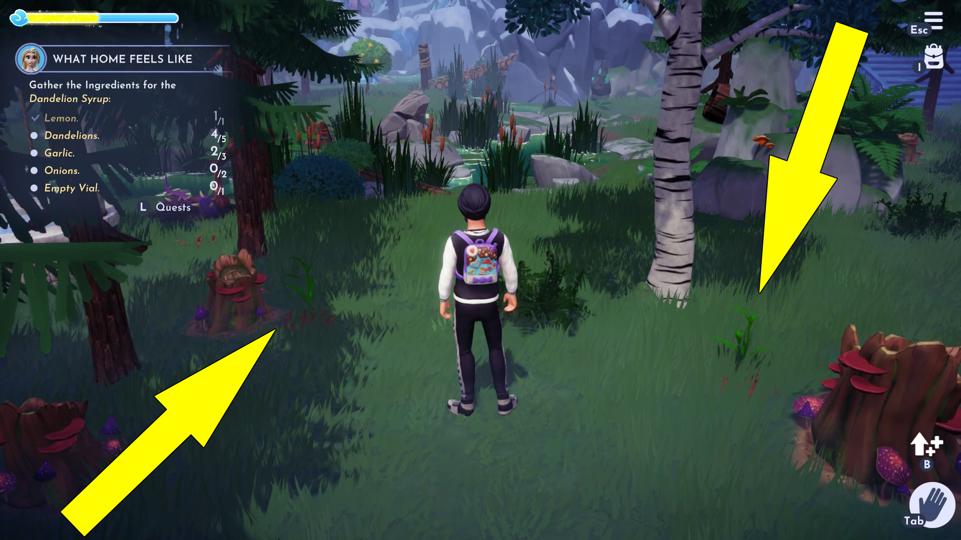 What Home Feels Like Herring Recipe Disney Dreamlight Valley