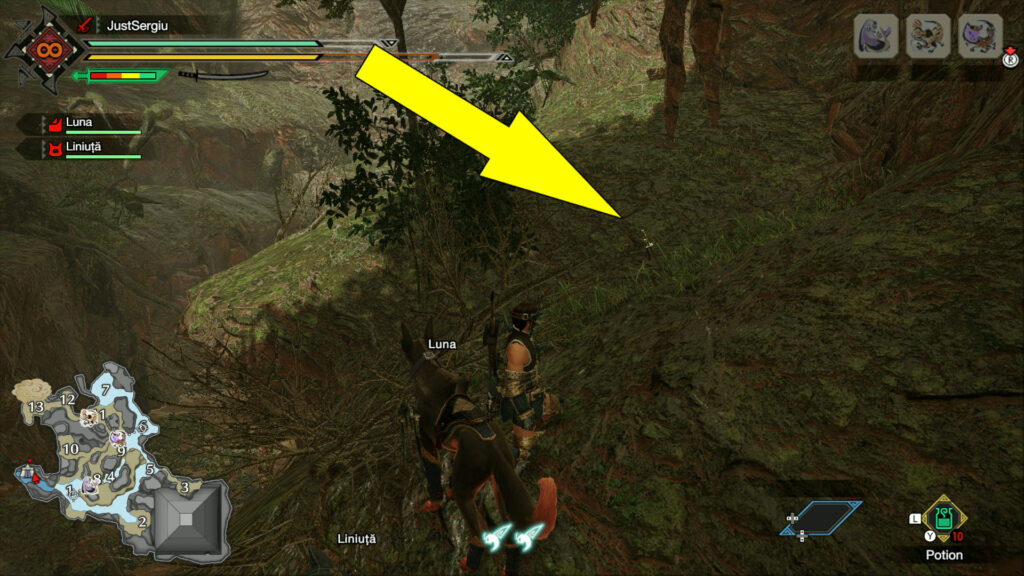 monster hunter rise flooded forest relic record old message location 1 - GameClubz