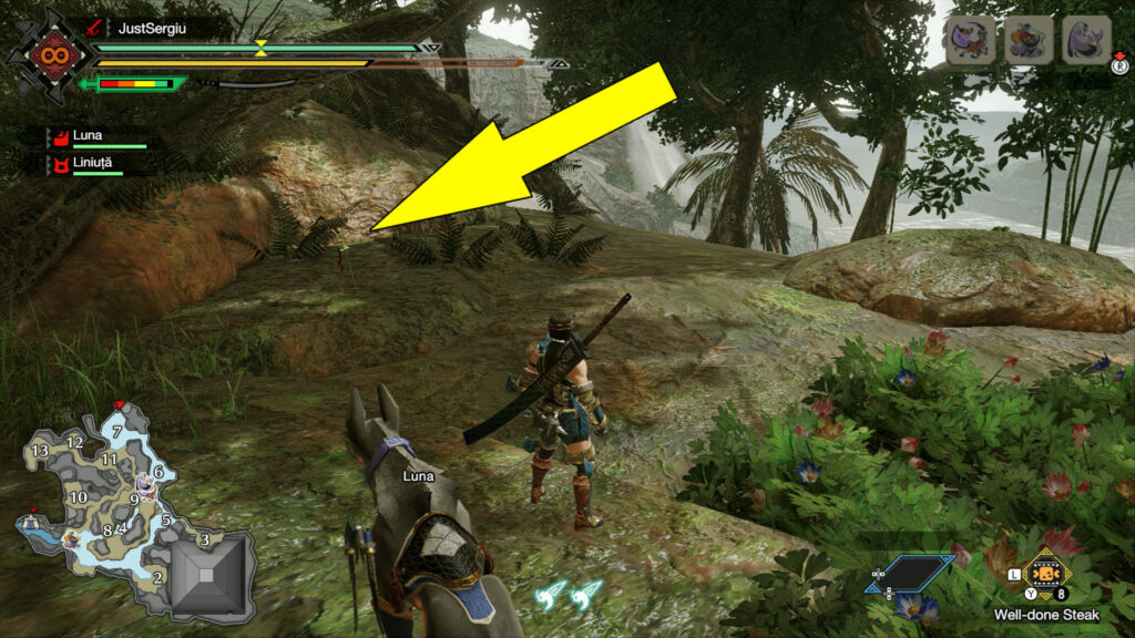 monster hunter rise flooded forest relic record old message location 10 - GameClubz