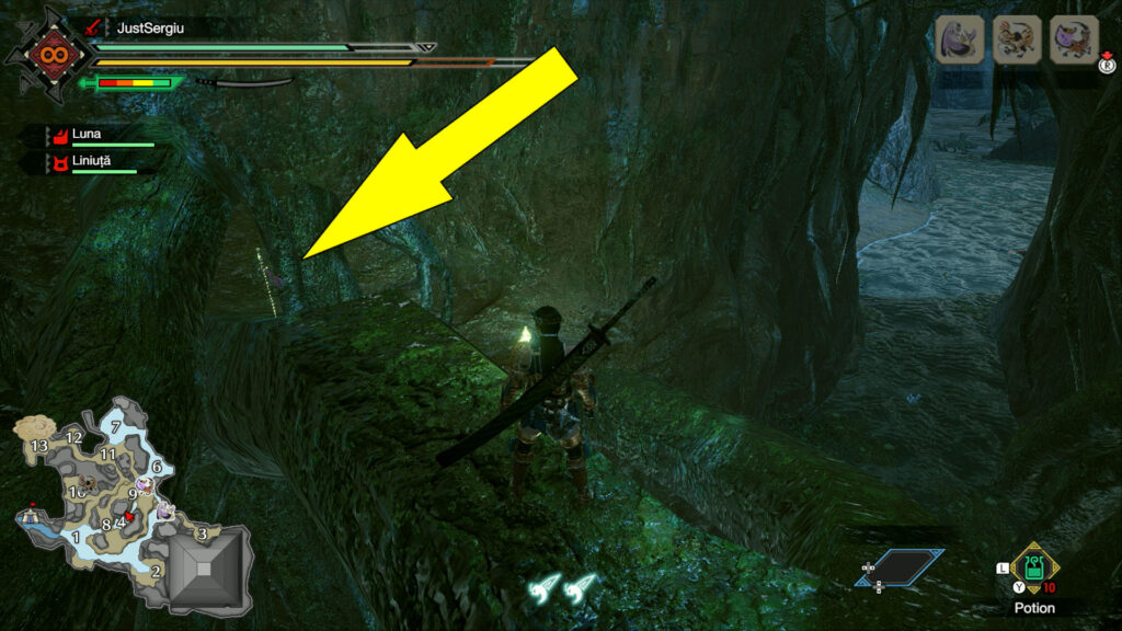 monster hunter rise flooded forest relic record old message location 2 - GameClubz
