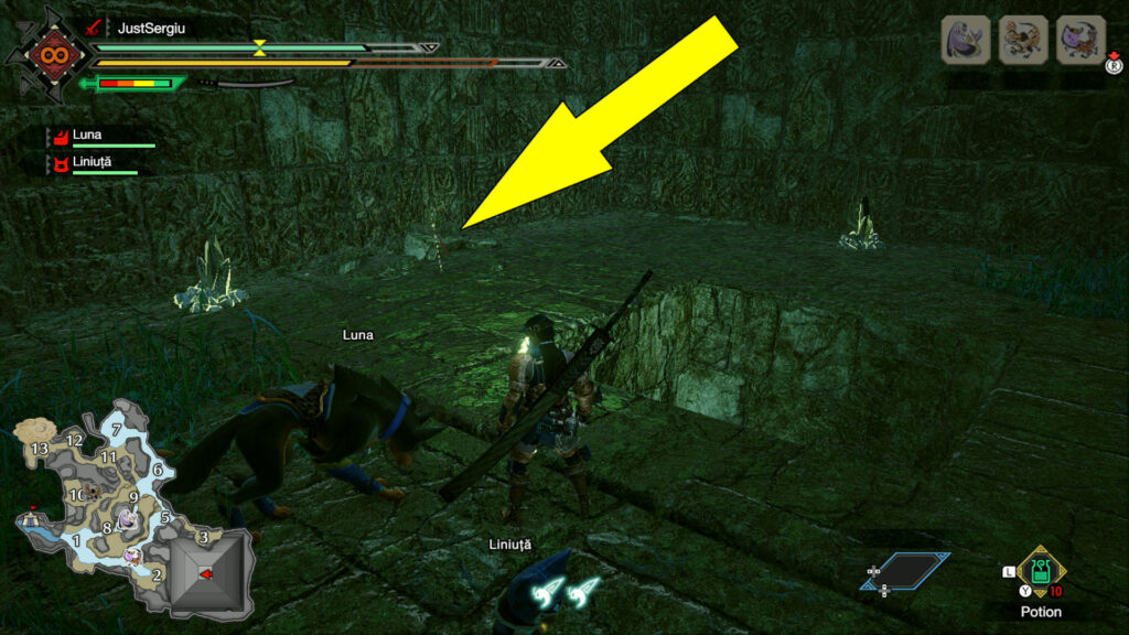 monster hunter rise flooded forest relic record old message location 3 - GameClubz