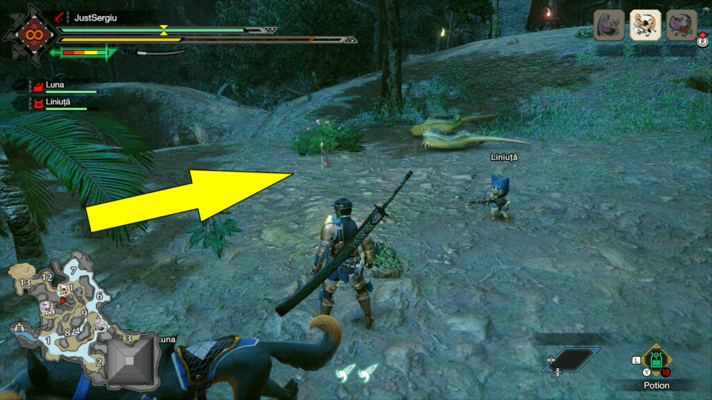 monster hunter rise flooded forest relic record old message location 4 - GameClubz