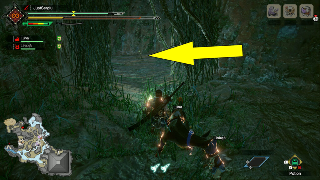 monster hunter rise flooded forest relic record old message location 6 - GameClubz
