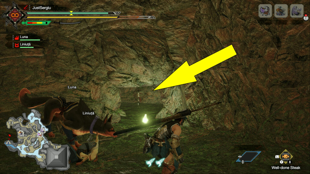 monster hunter rise flooded forest relic record old message location 9 - GameClubz