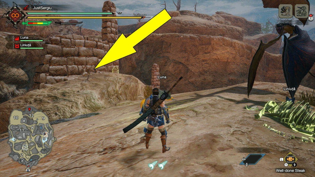 Monster Hunter Rise Sandy Plains Message 10 Location