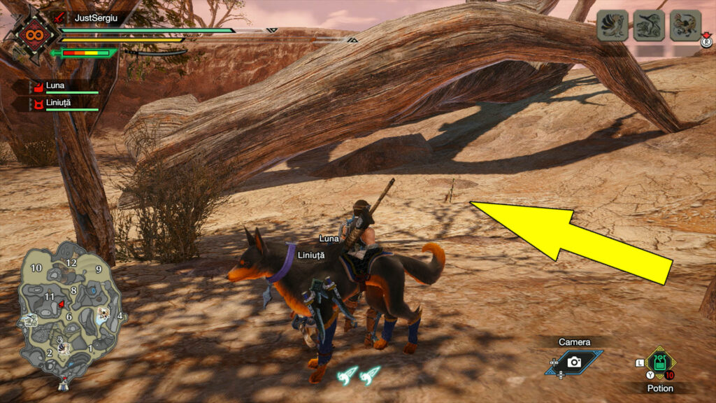 Monster Hunter Rise Sandy Plains Message 4 Location
