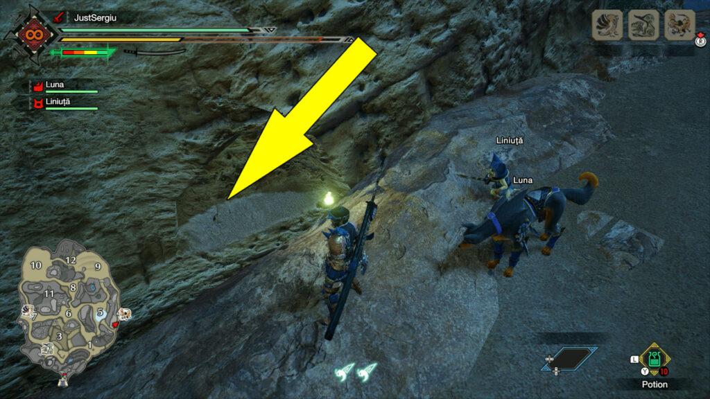 Monster Hunter Rise Sandy Plains Message 8 Location