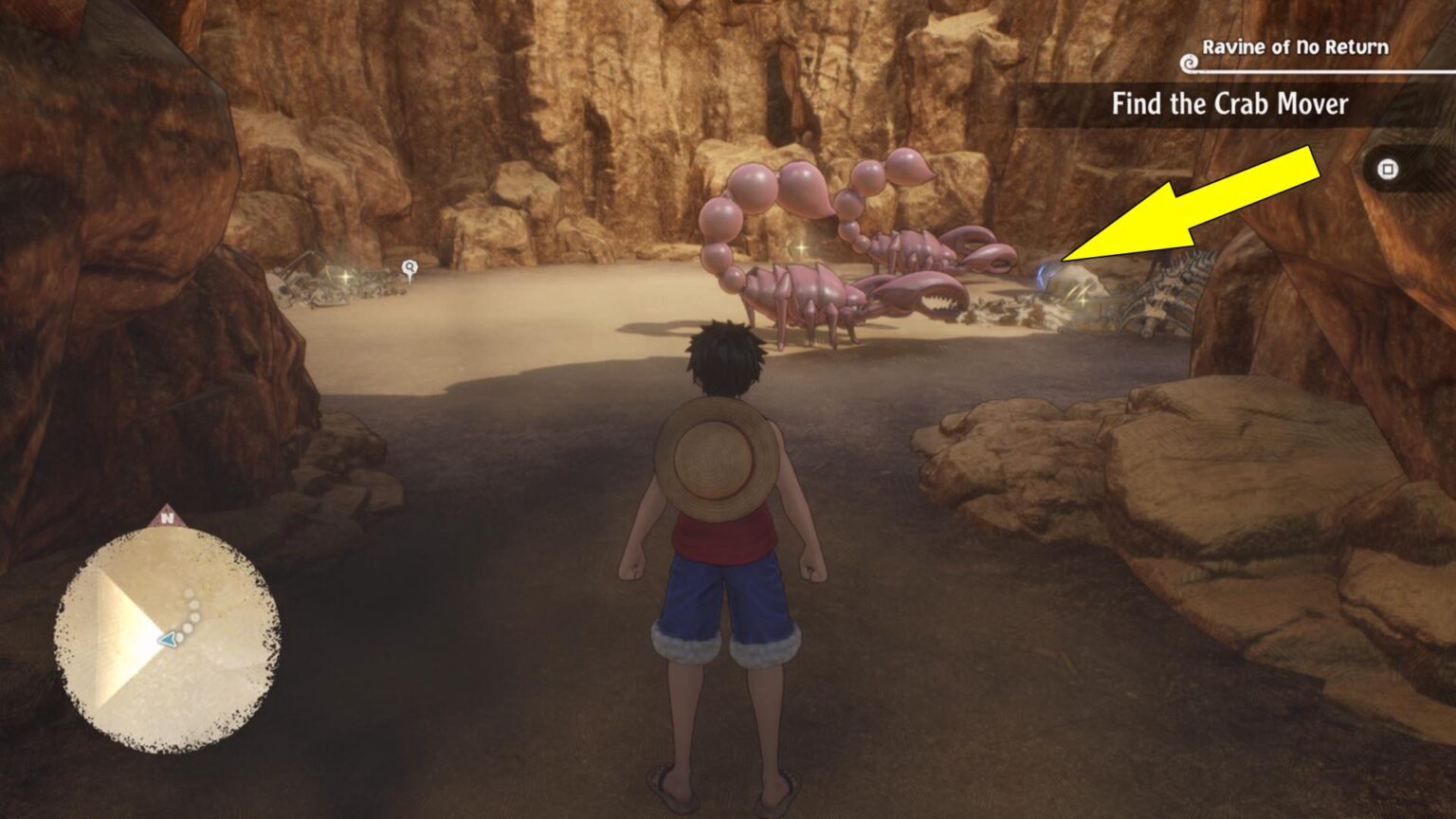 More Important Than Berries Lost Photograph One Piece Odyssey