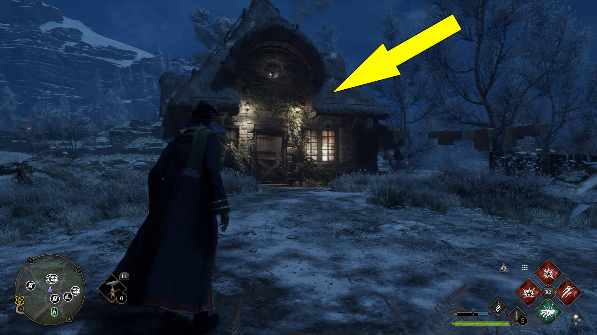 Feldcroft Region Demiguise Statues Guide Hogwarts Legacy