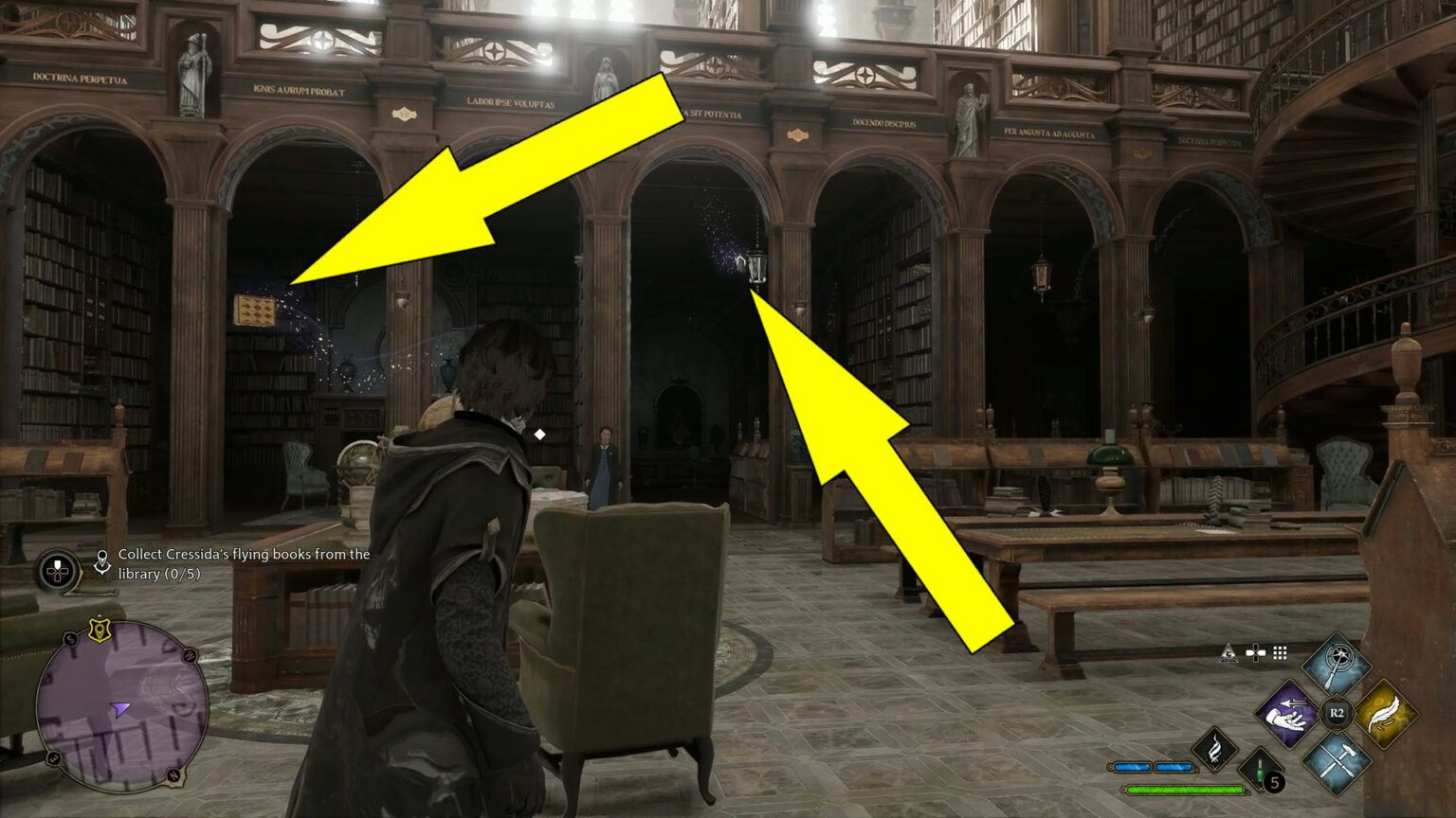 Flying Off The Shelves Cressida's Books Hogwarts Legacy