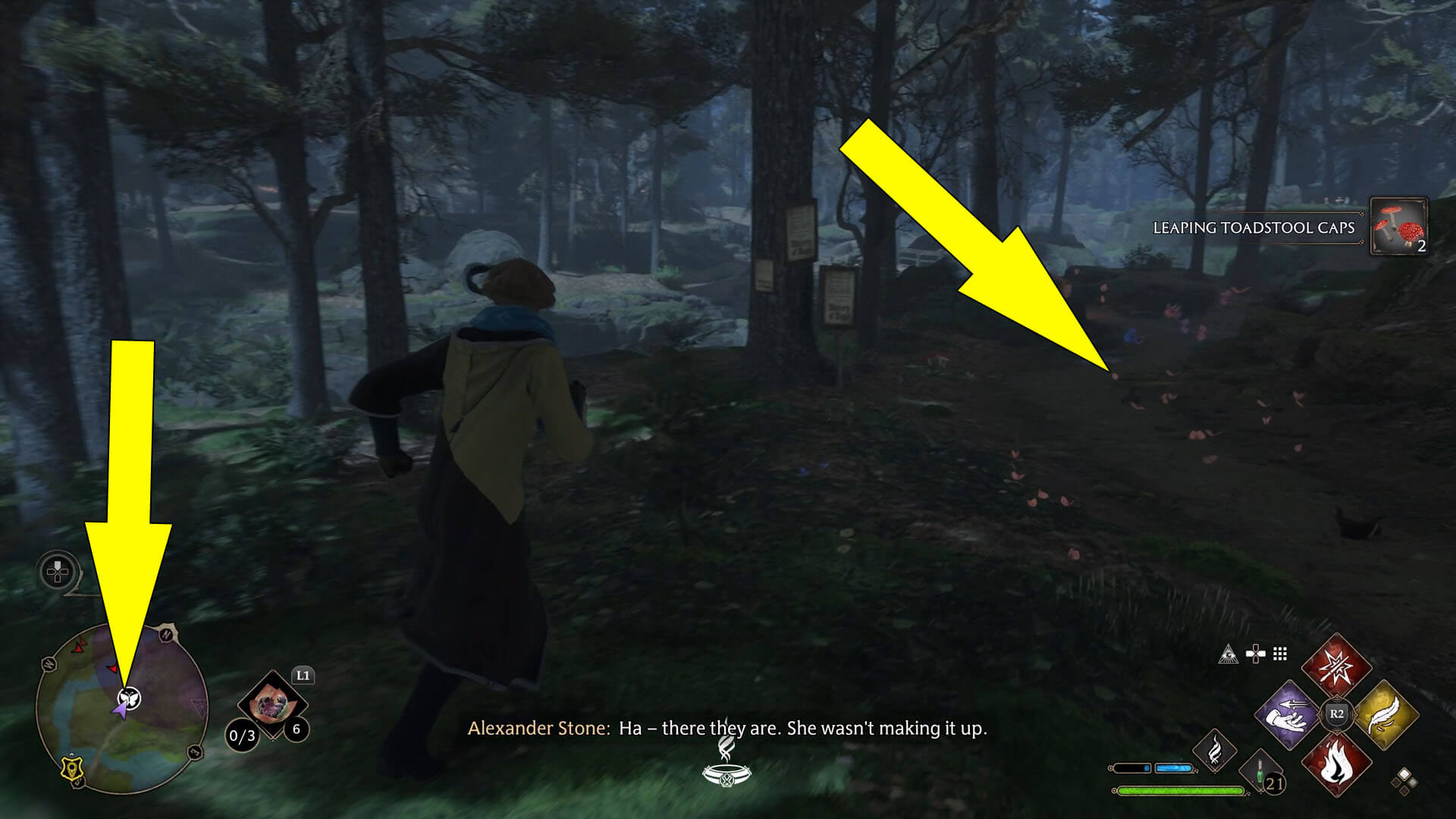 Follow The Butterflies Chest Location Hogwarts Legacy