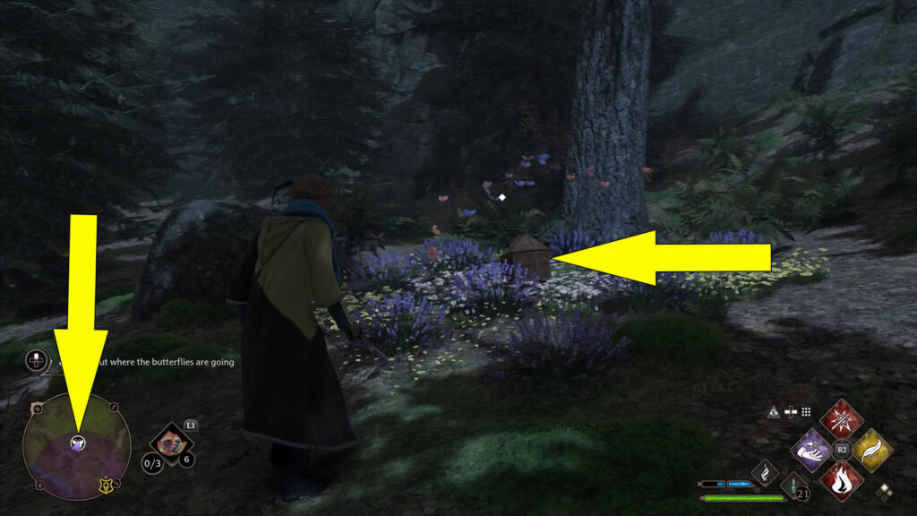 Hogwarts Legacy Follow The Butterflies Insects Location