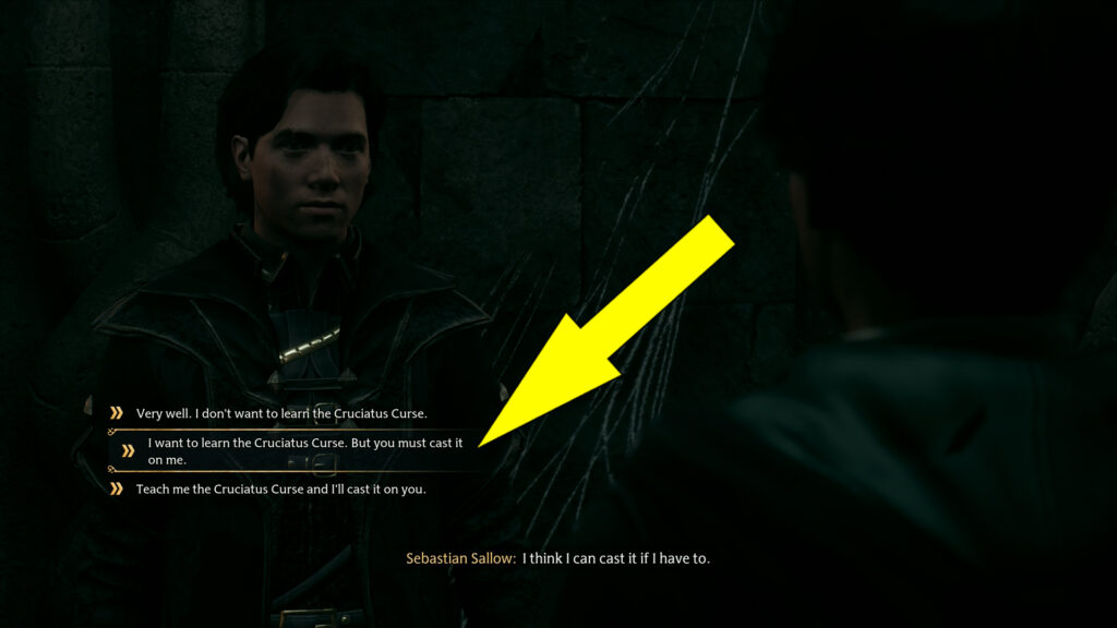 In The Shadow Of The Study Cruciatus Curse Crucio Dialogue Option
