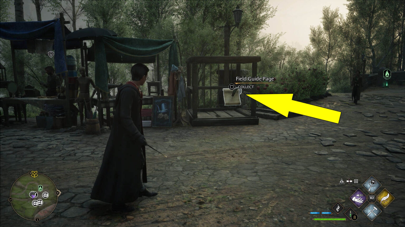 COMPLETE FIELD GUIDE HOGWARTS LEGACY visual data 8