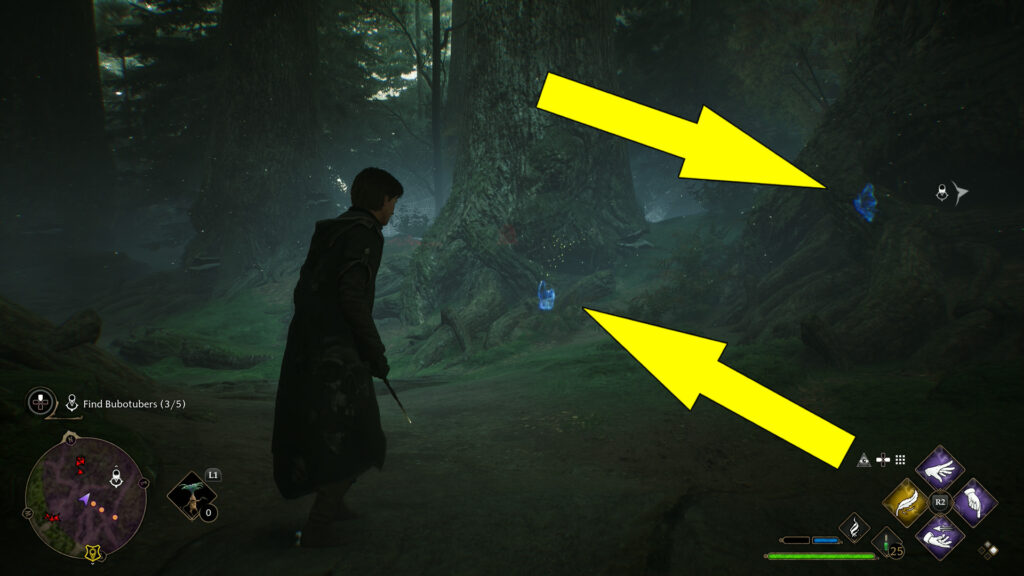 Bobotubers Locations in Forbidden Forest