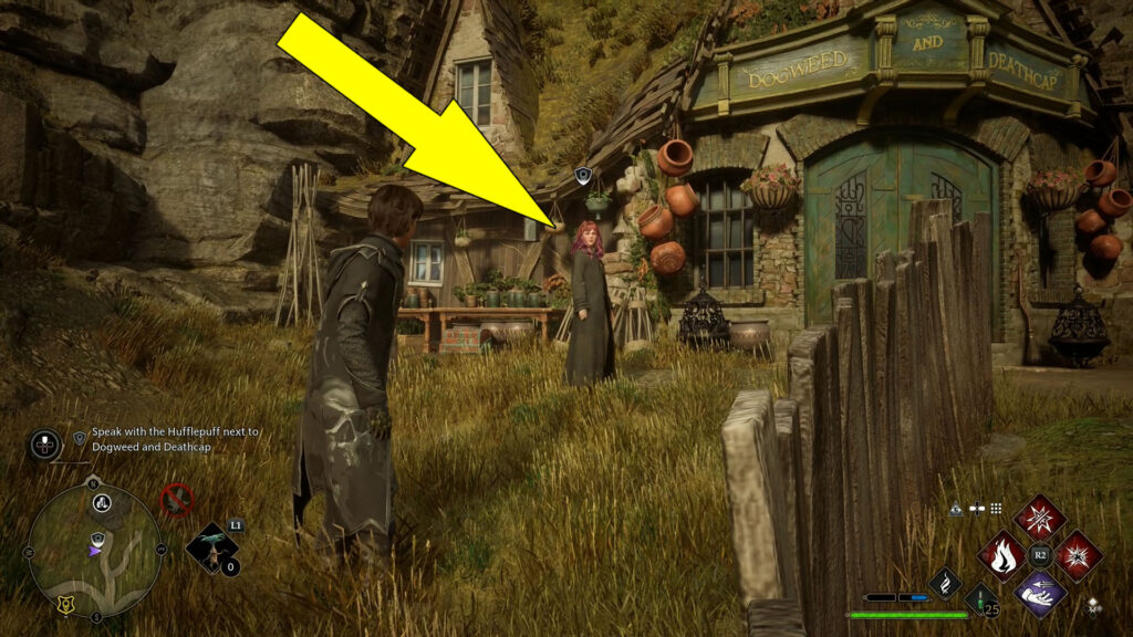 Hogwarts Legacy Spot Removal Quest Starting Location