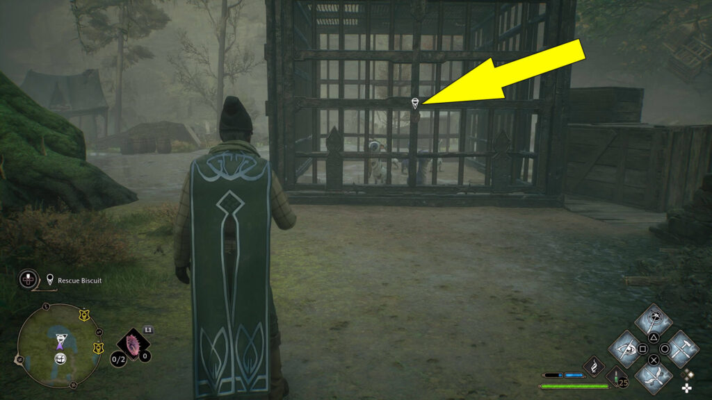Hogwarts Legacy Take The Biscuit Guide