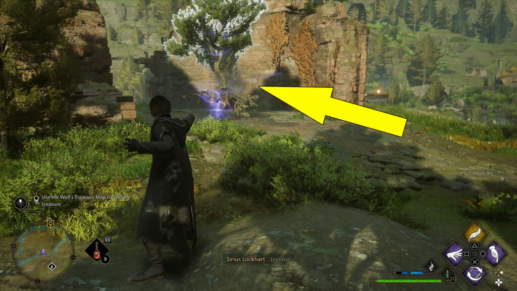 Cast Levioso on the tree to reveal the hidden treasure.