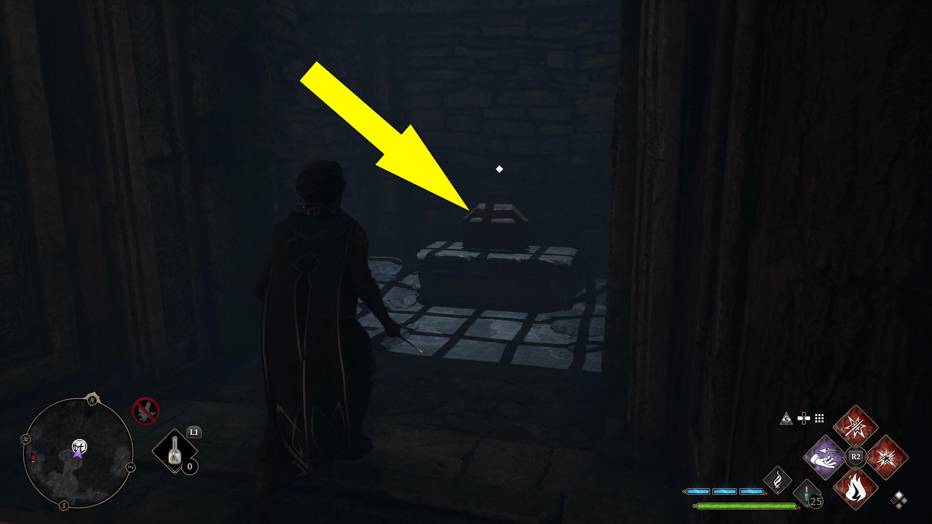 Collector's Cave Collection Chest Location Hogwarts Legacy