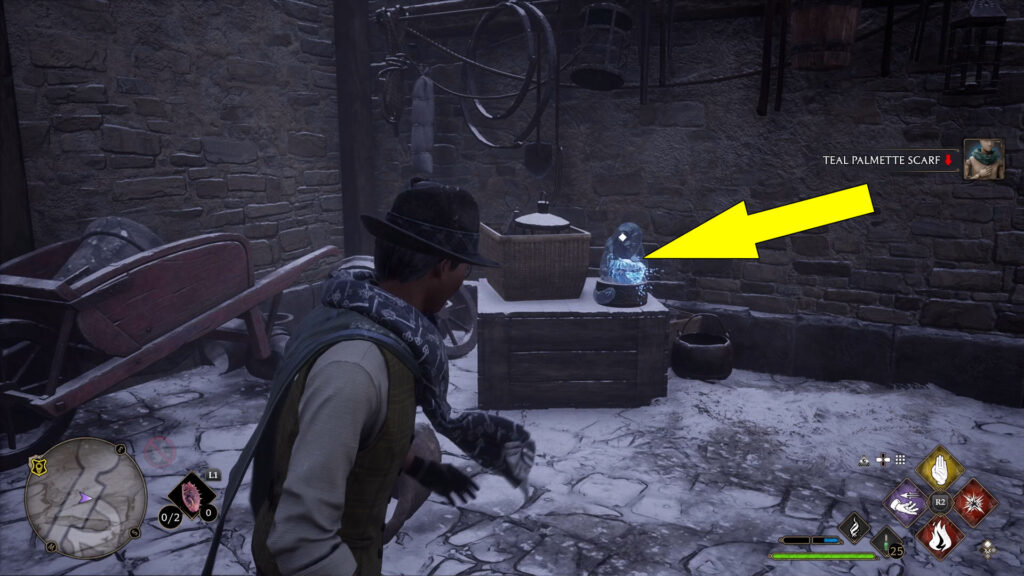 Where To Find Hogwarts Legacy Man Behind Moons Demiguise Moons