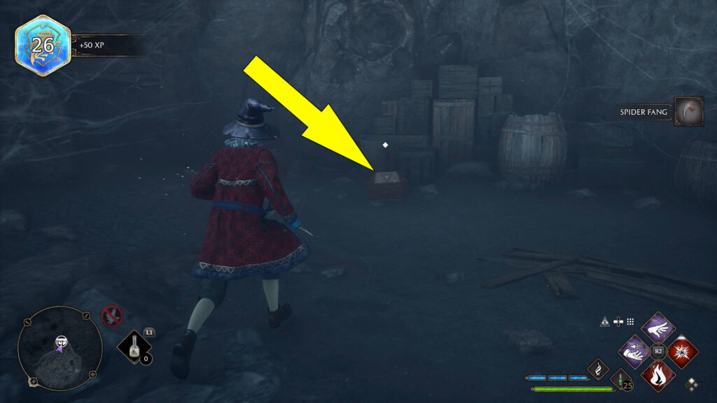 Hogwarts Legacy Mary Portman's Cellar Collection Chest Location