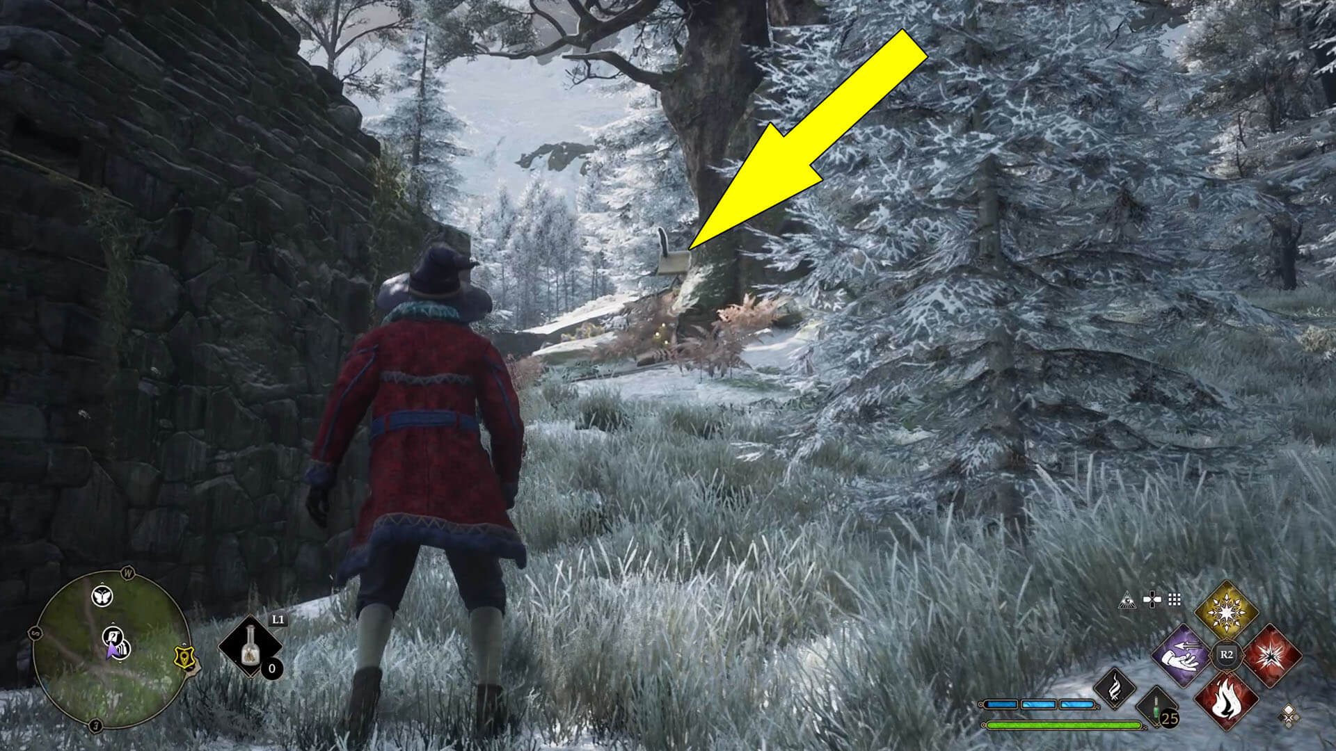 Hogwarts Valley Field Guide Pages Hogwarts Legacy