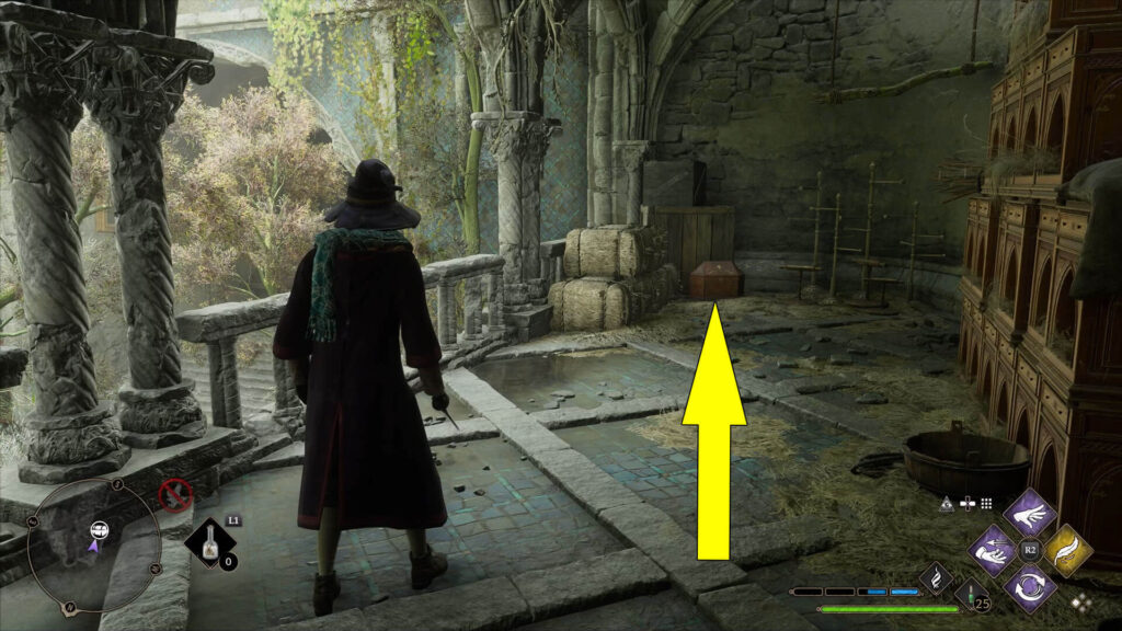 How To Find Hogwarts Legacy Gilded Perch Collection Chest